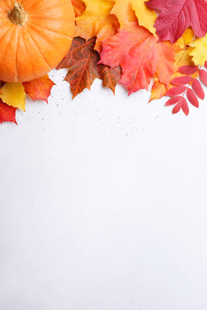 Photo of Autumn background with colorful leaves and pumpkin on white concrete background.