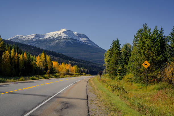 istock Yellowhead way, Jasper Alberta Kanada ,Sleeper Mountain, 1277726528