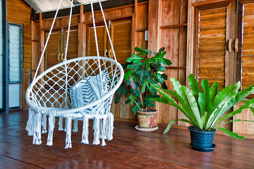 A relaxing hanging chair rocking in this spacious domestic room near two tropical houseplants.