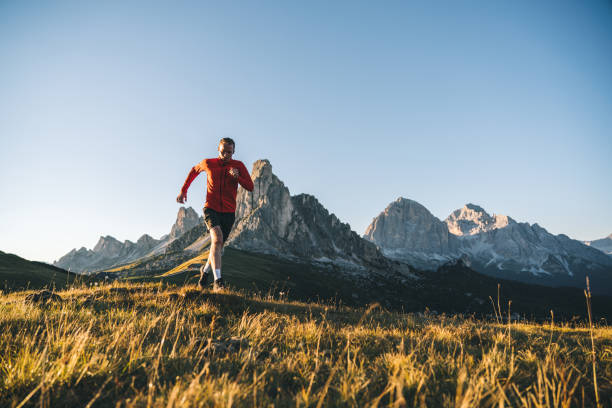 istock Trail runner traverses alpine meadow at sunrise 1277727104