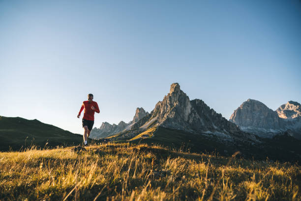 istock Trail runner traverses alpine meadow at sunrise 1277727105