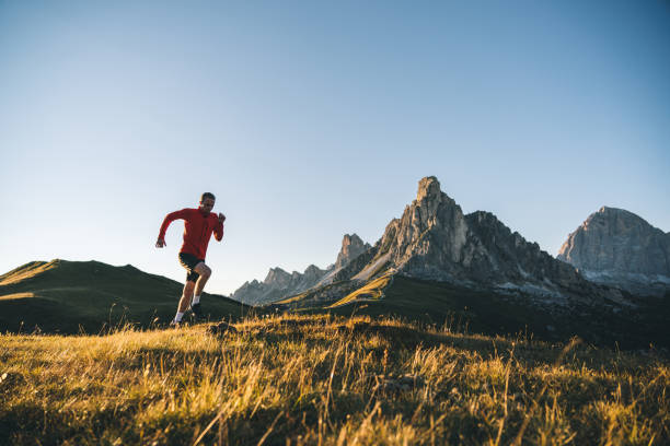 istock Trail runner traverses alpine meadow at sunrise 1277727236