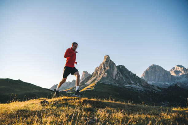 istock Trail runner traverses alpine meadow at sunrise 1277727240