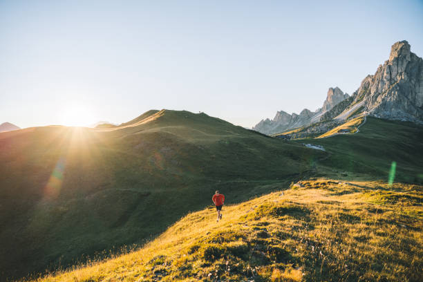 istock Trail runner traverses alpine meadow at sunrise 1277727253