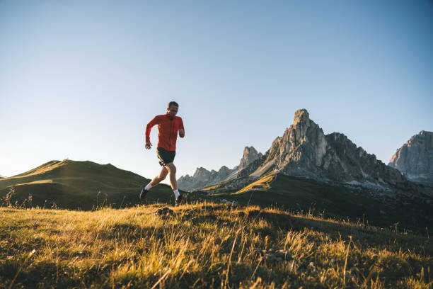 istock Trail runner traverses alpine meadow at sunrise 1277727261