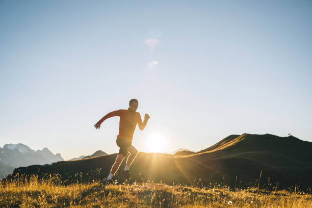 istock Trail runner traverses alpine meadow at sunrise 1277727270