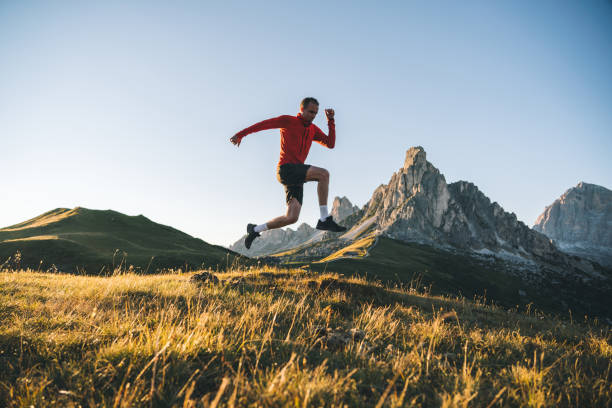 istock Trail runner traverses alpine meadow at sunrise 1277727281