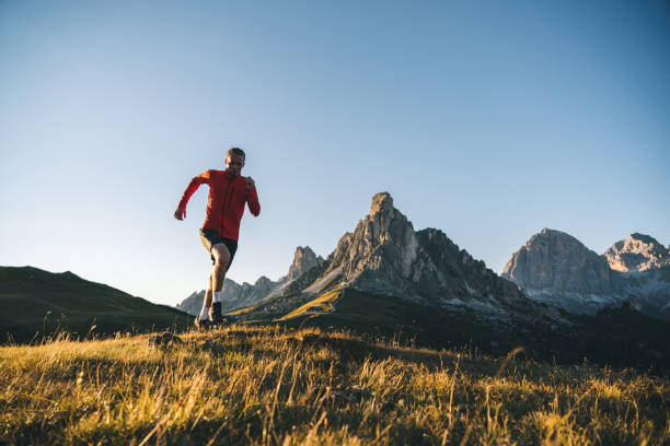 istock Trail runner traverses alpine meadow at sunrise 1277727329