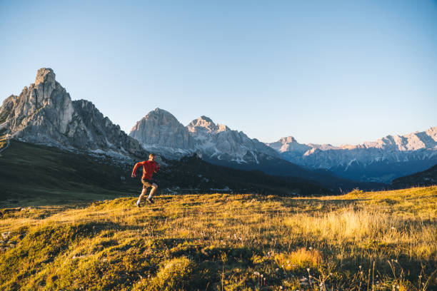 istock Trail runner traverses alpine meadow at sunrise 1277727851
