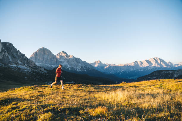 istock Trail runner traverses alpine meadow at sunrise 1277727853