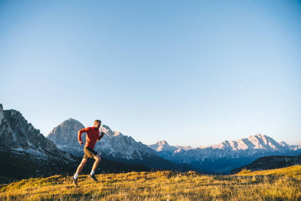 istock Trail runner traverses alpine meadow at sunrise 1277727970