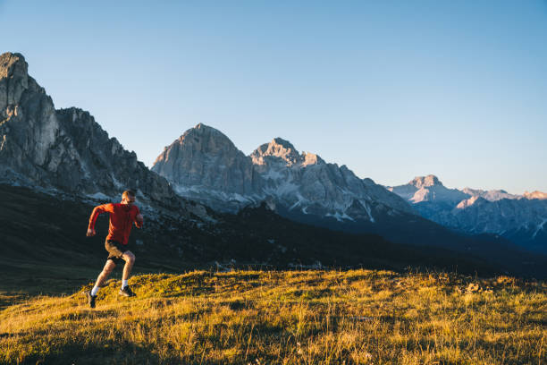 istock Trail runner traverses alpine meadow at sunrise 1277727999
