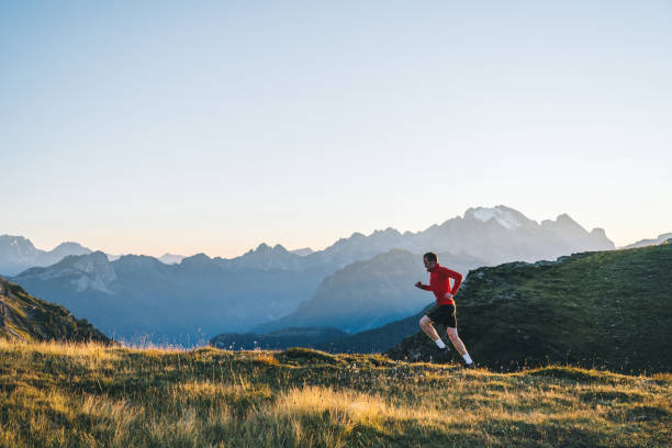 istock Trail runner traverses alpine meadow at sunrise 1277728015