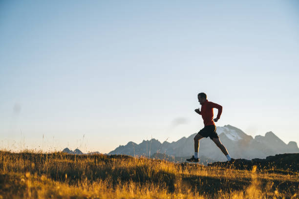 istock Trail runner traverses alpine meadow at sunrise 1277728135