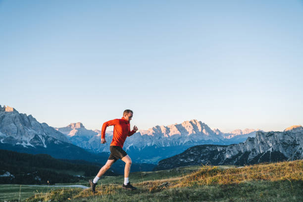 istock Trail runner traverses alpine meadow at sunrise 1277728256