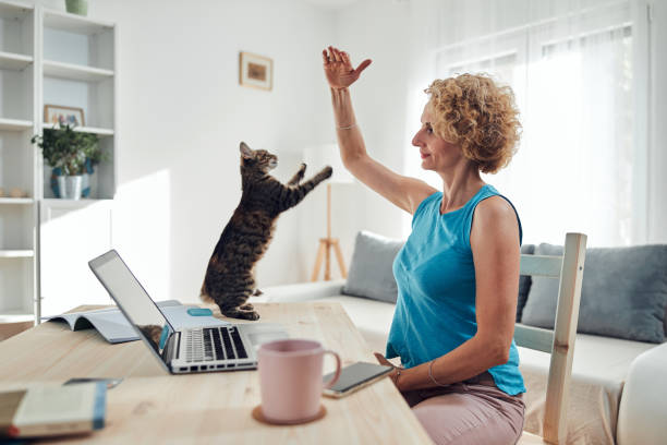 istock Woman working from home on a laptop / notebook with cat pet with her. 1277731425