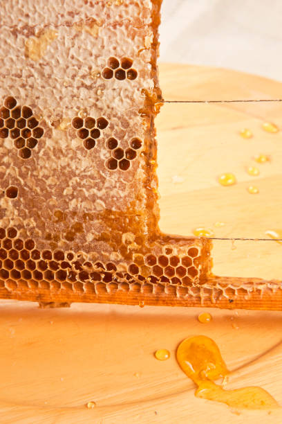 istock Sweet slices of honeycombs 1277732605
