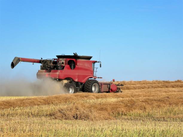 istock Red Combine Harvesting the Grain Crop 1155430196 1277732667
