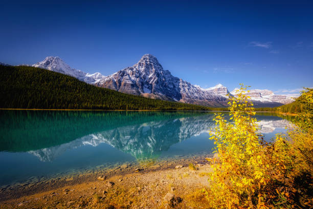 istock Waterfowl Lake, Jasper Alberta Kanada travel destination 1277733059