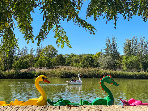 Valencia, Spain - September 27, 2020: Cute pedal boats shaping swans and dragons in the Parque de Cabecera, a public park at one side of the Turia Garden where people go even during the coronavirus pandemic properly protected