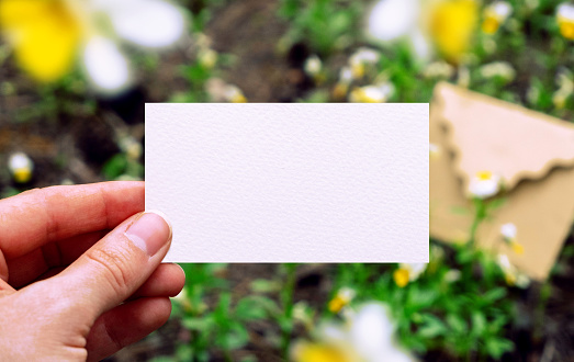White paper business card in hand. Mockup with flowers and craft envelope in forest. Nature concepts. Wedding invitation template. Spring greeting card. Corporate card template. Hand holding card. High quality photo