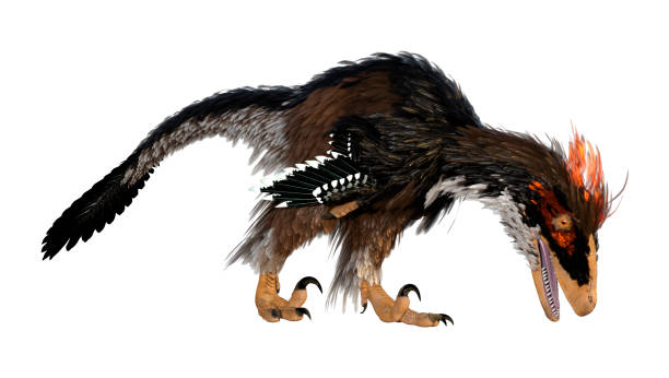 istock 3D illustration dinosaur Deinonychus on white 1277751771