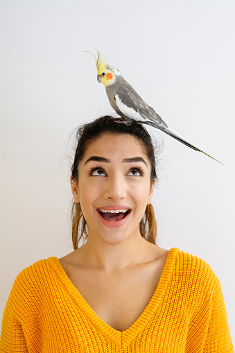 istock Head and shoulders portrait of young woman and pet cockatiel 1277752244