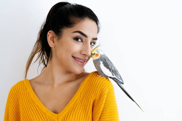 Front view of dark haired woman wearing yellow v-neck sweater and smiling at camera while nuzzling with affectionate cockatiel perched on her shoulder.