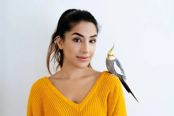 Head and shoulders front view of young woman with hair in ponytail wearing v-neck yellow sweater and looking at camera with cockatiel perched on her shoulder.