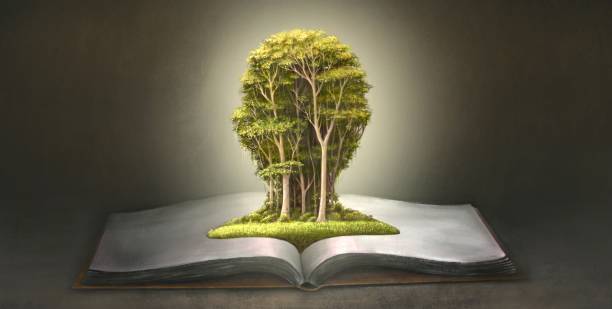 istock Education and imagination concept, surreal scene head of forest with a book , painting illustration 1277753873