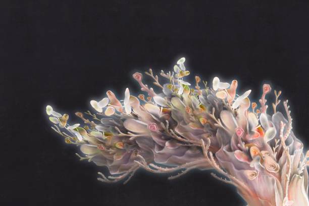 istock Painting of dreamlike flowers background, abstract nature artwork, imagination art 1277753879