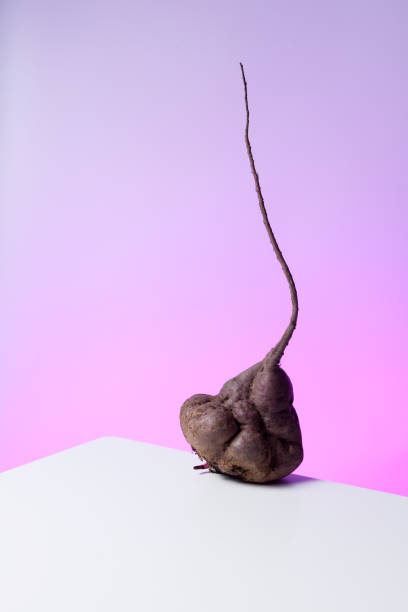 Trendy ugly vegetables. Organic food. Abnormal deformed sugar beet root on the edge of a white table. Neon lighting, copy space Trendy ugly vegetables. Organic food. Abnormal deformed sugar beet root on the edge of a white table. Neon lighting, copy space. ugly soup stock pictures, royalty-free photos & images