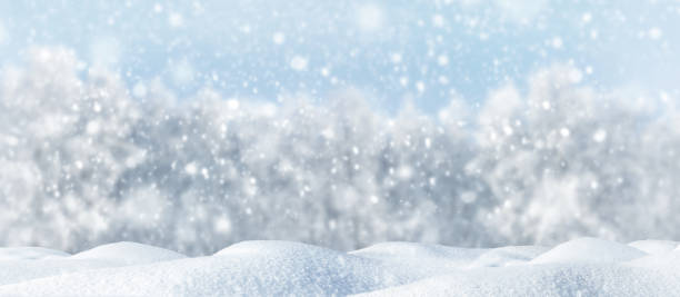 istock Winter frosty landscape in the forest. Snowfall concept. 1277754339