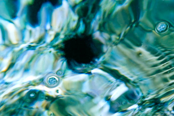 the sea urchins are blurred in nature