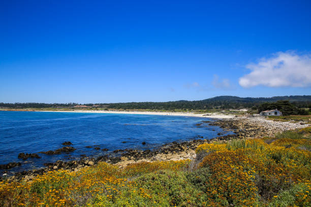 istock 17 Mile Drive，Monterey 1277759138