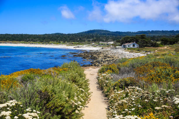 istock 17 Mile Drive，Monterey 1277759172