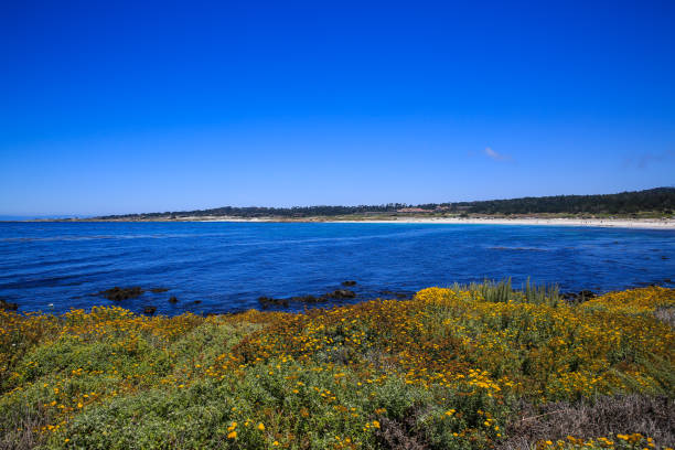 istock 17 Mile Drive，Monterey 1277759223