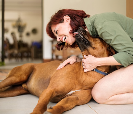 Shot of a woman playing with her pet dog at home