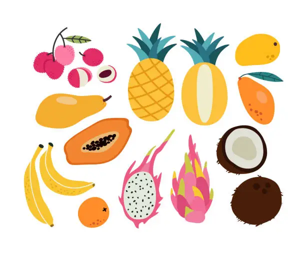Vector illustration of Vector illustration of tropical fruits, isolated on a white background. Set with hand-drawn fruit doodles.