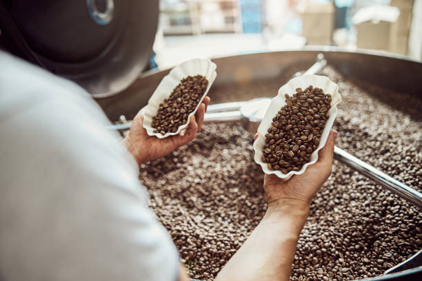 istock Young man checking quality of freshly roasted coffee beans 1277763266