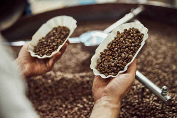 istock Male worker checking quality of freshly roasted coffee beans 1277763269