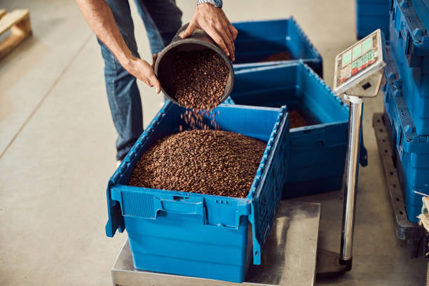 istock Male worker pouring coffee beans into plastic crate on scales 1277763278