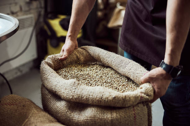 istock Male worker hands holding bag with green coffee beans 1277763302