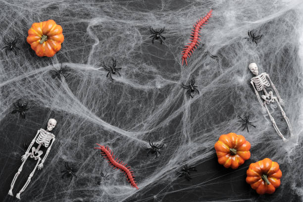istock Scary Halloween flat lay composition with spider web, skeletons, insects, spiders, pumpkins on black background. 1277764391