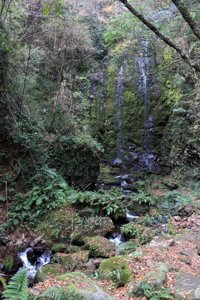 istock Water falling at Onbara Falls in Beppu, Oita. 1277764636