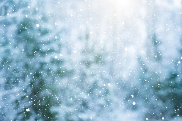 istock Winter scene - snowfall on the blurred forest background 1277764709