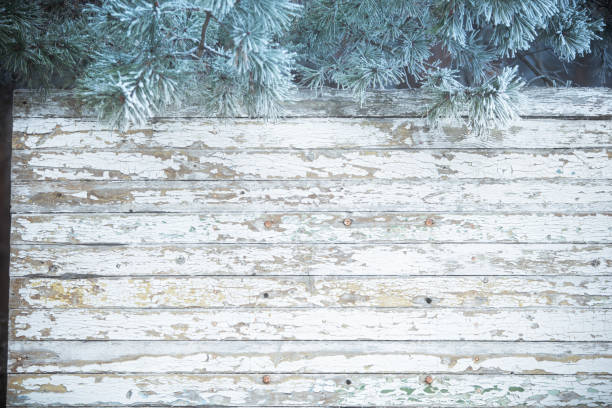 Photo of Frosted pine branches covered with a snow on a wooden desk background.