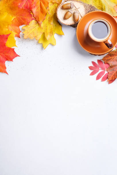 Free Stock Photo of Autumn leaves and cup of coffee in nature ...