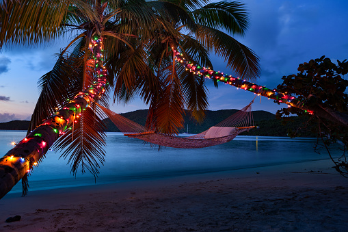 Hammock under Palm tree with Christmas lights on a tropical beach, St. John, united states virgin islands