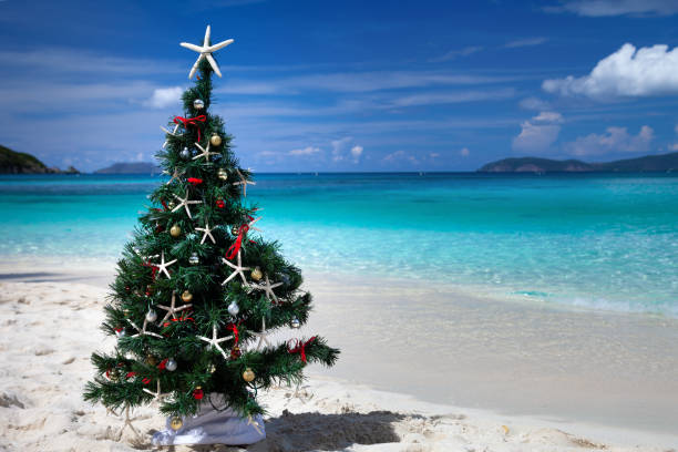 istock Christmas tree on a tropical beach in the Caribbean 1277765631